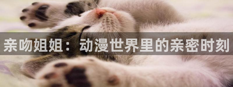 汗汗漫画完整版在线：亲吻姐姐：动漫世界里的亲密时刻配图