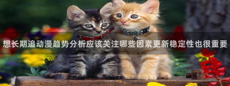 汗汗漫画热门推荐:想长期追动漫趋势分析应该关注哪些因素更新稳定性也很重要配图