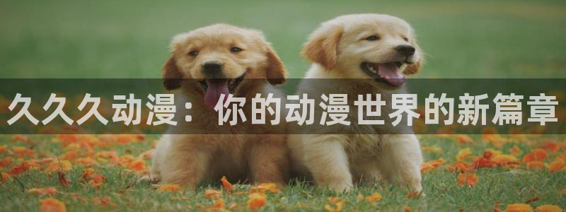 汗汗漫画大全热门推荐:久久久动漫:你的动漫世界的新篇章配图