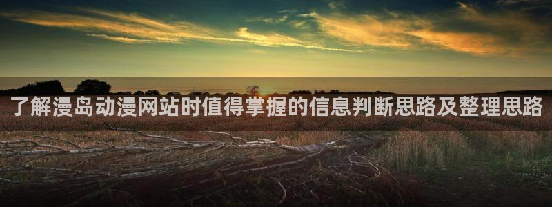 2026汗汗漫画在线阅读：了解漫岛动漫网站时值得掌握的信息判断思路及整理思路配图